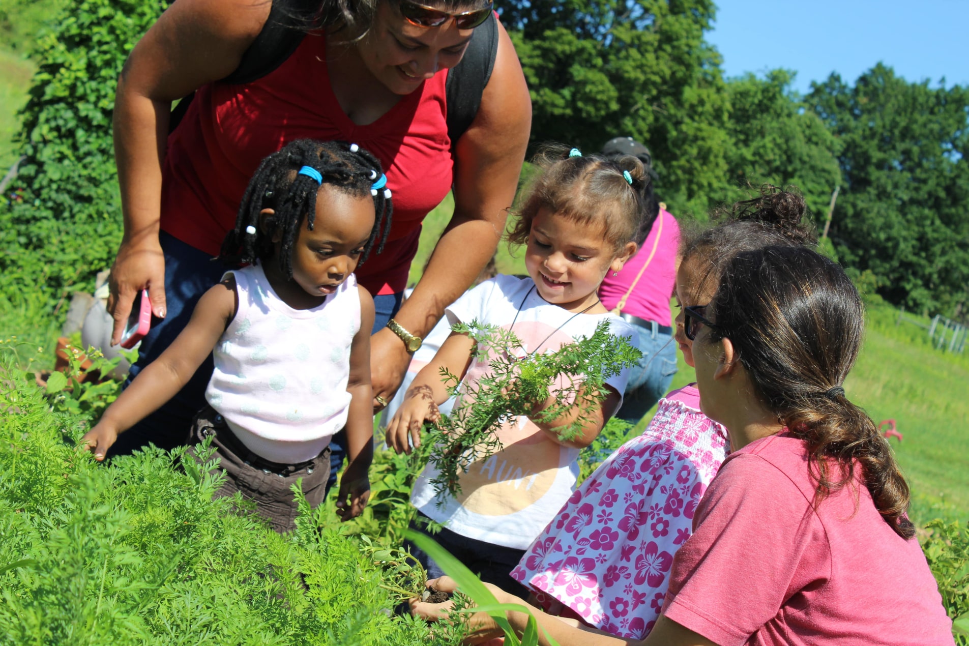 Outdoor Education